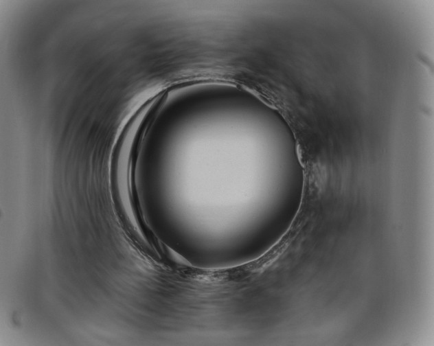 X0000098130148200804241658
