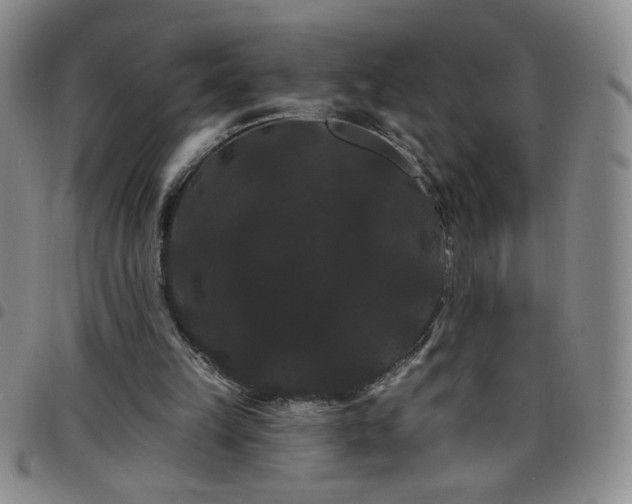 X0000098130149200804241658