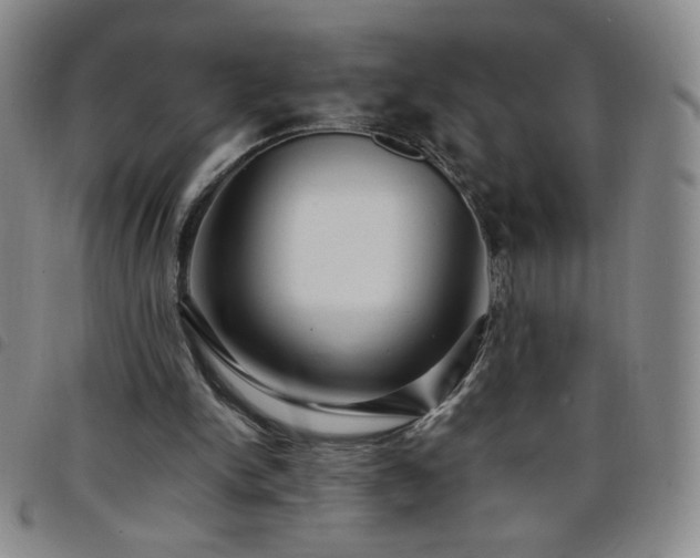 X0000098130150200804241658