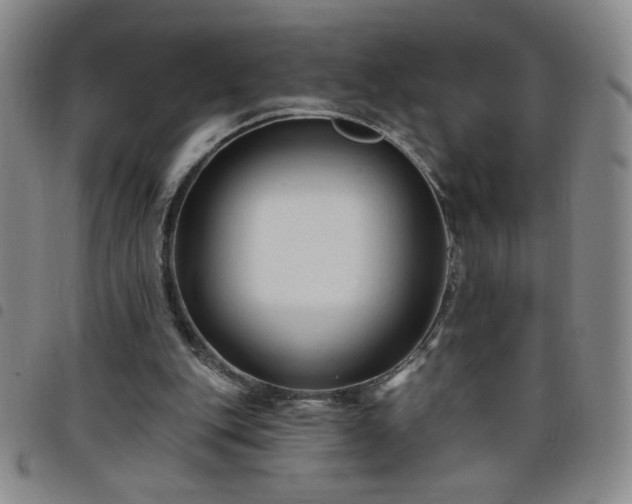 X0000098130151200804241658