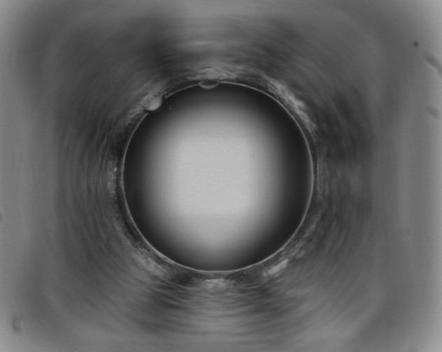 X0000098130153200804241658