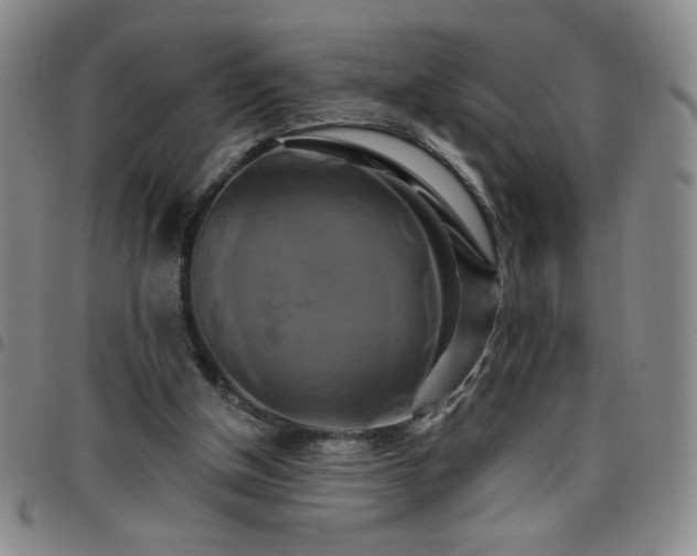 X0000098130154200804241658