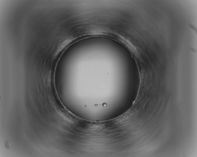 X0000098130155200804241658