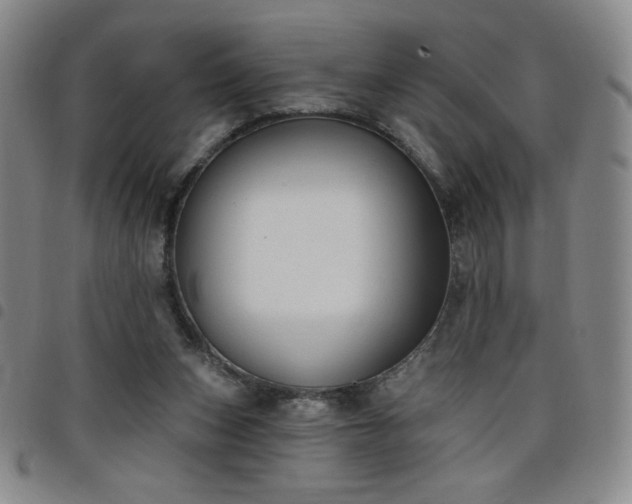 X0000098130159200804241658