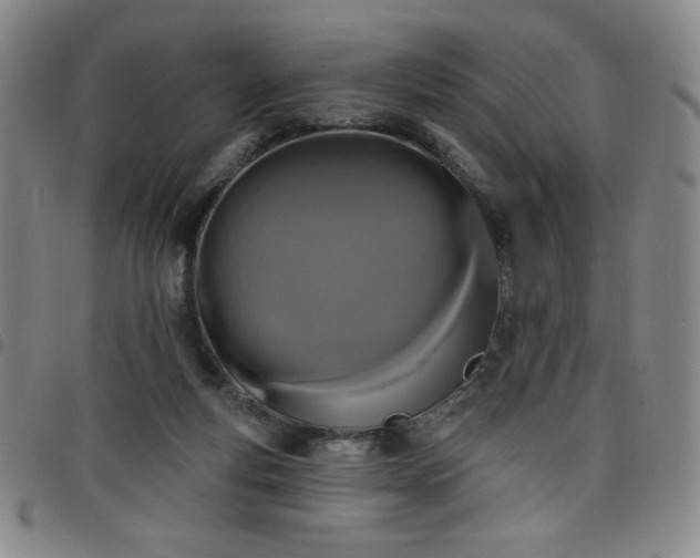 X0000098130163200804241658