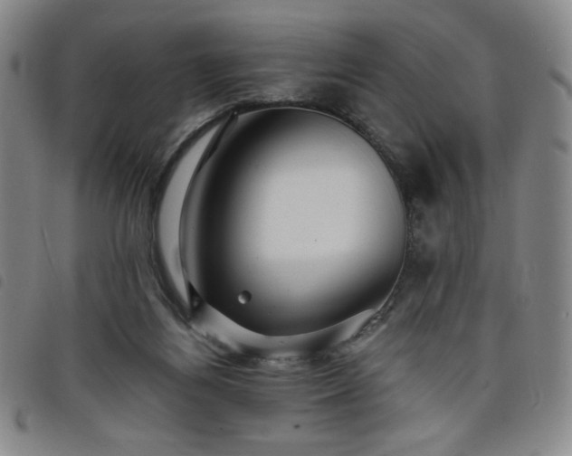 X0000098130164200804241658