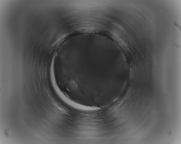 X0000098130165200804241658