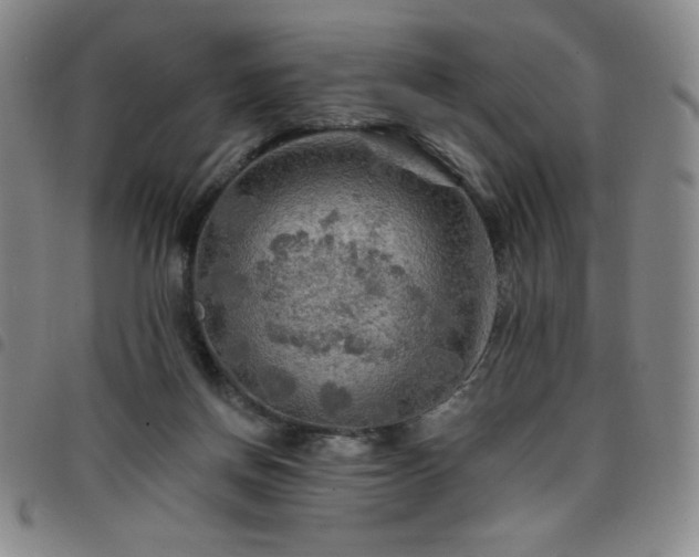 X0000098130166200804241658