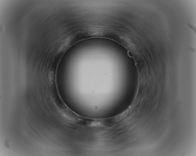 X0000098130171200804241658