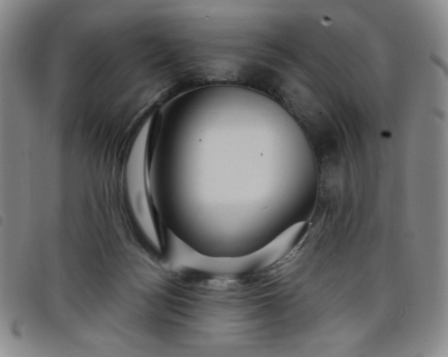 X0000098130172200804241658