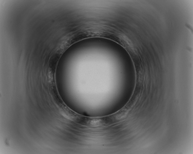 X0000098130173200804241658