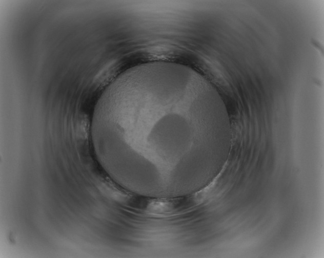 X0000098130174200804241658