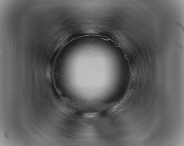 X0000098130175200804241658