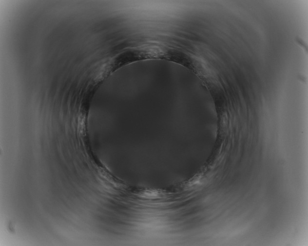 X0000098130177200804241658