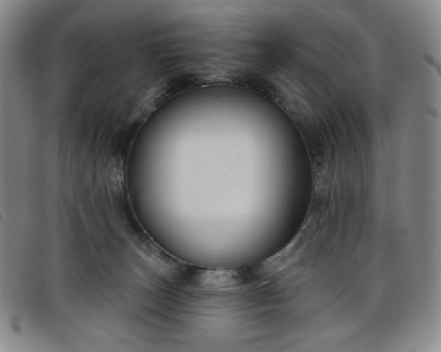 X0000098130179200804241659