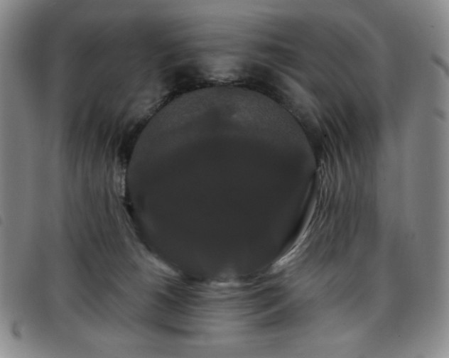 X0000098130180200804241659