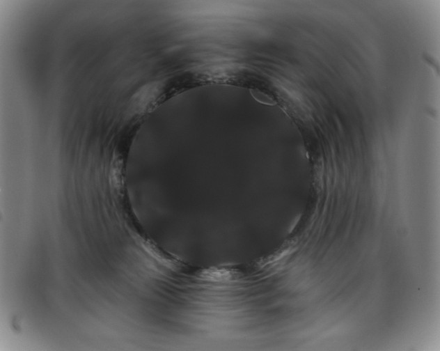 X0000098130181200804241659