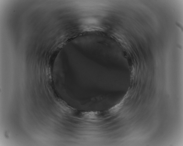 X0000098130182200804241659