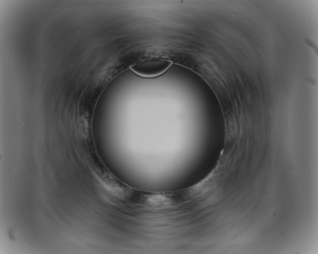 X0000098130183200804241659