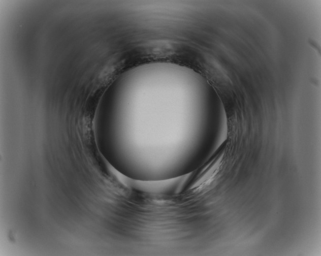X0000098130184200804241659