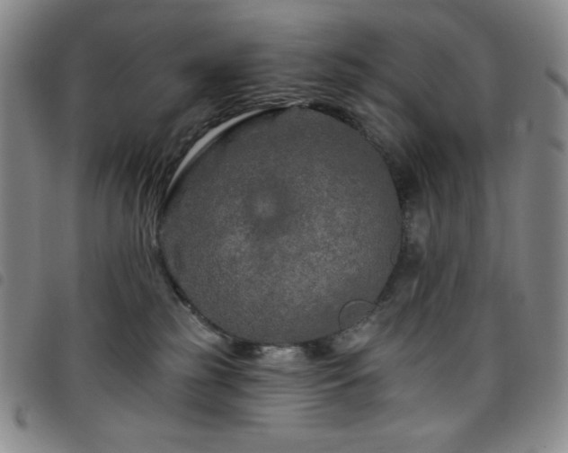X0000098130185200804241659