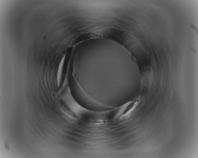 X0000098130186200804241659