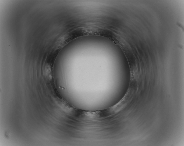 X0000098130187200804241659