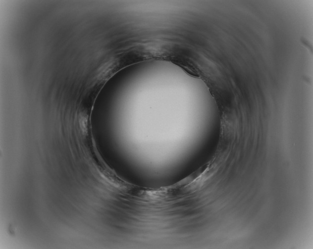 X0000098130188200804241659
