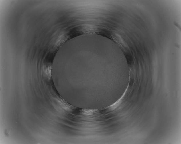 X0000098130190200804241659