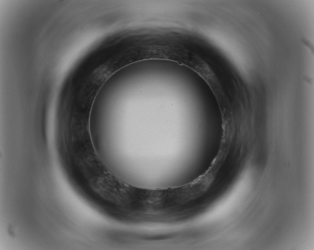 X0000098130191200804241659