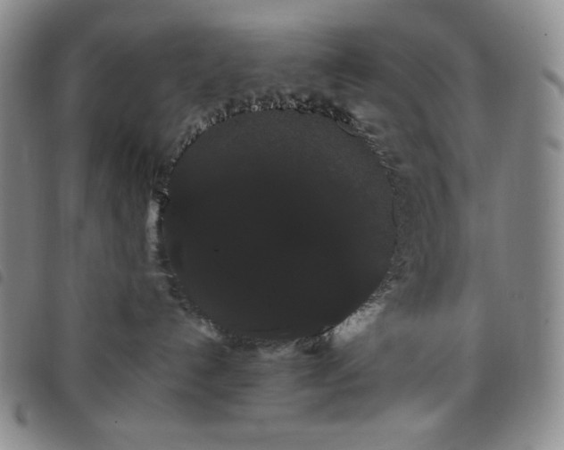 X0000098130192200804241659