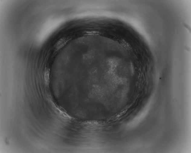 X0000098130194200804241658