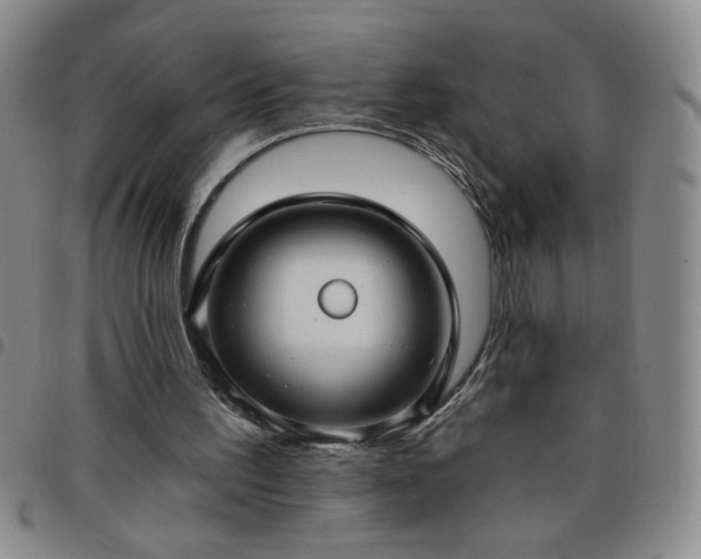 X0000098130195200804241658