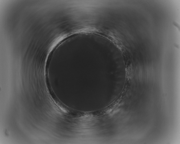 X0000098130196200804241658