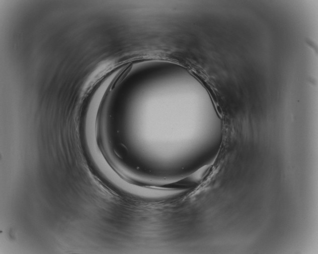 X0000098130197200804241658