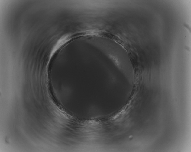 X0000098130198200804241658