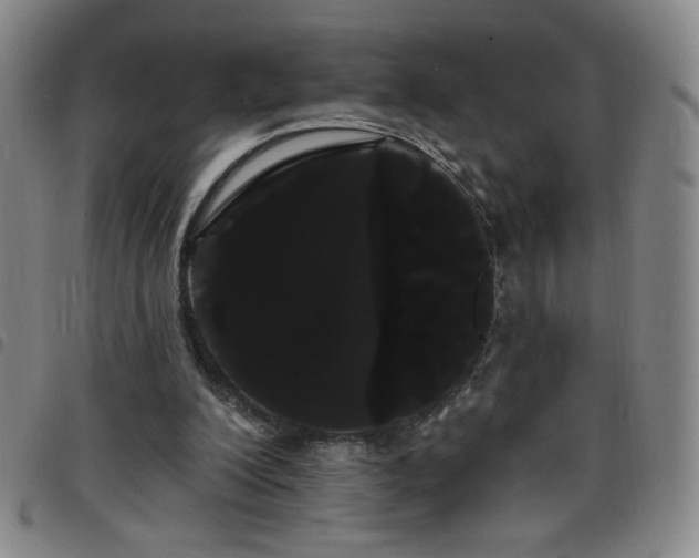 X0000098130200200804241658