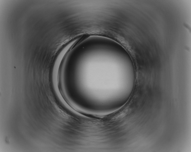 X0000098130201200804241658