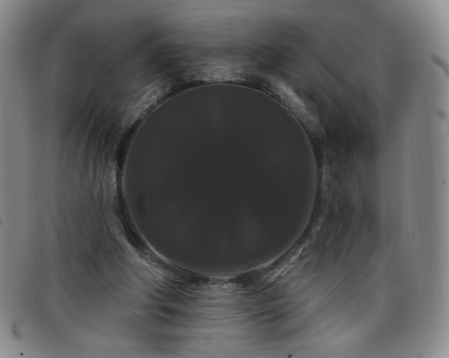 X0000098130202200804241658