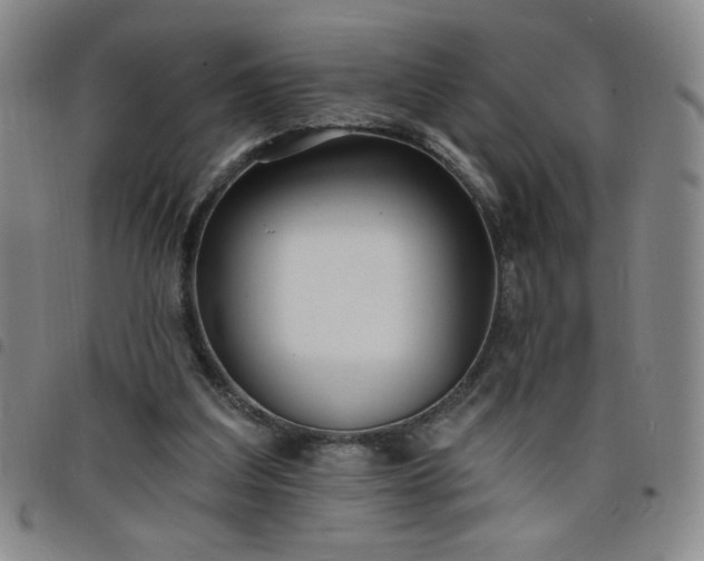 X0000098130203200804241658