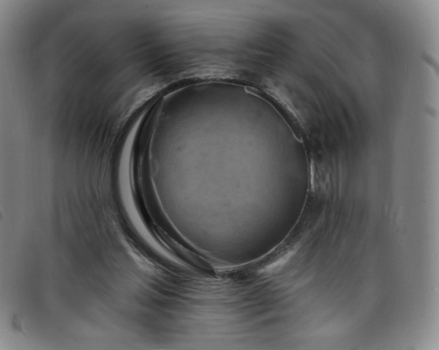 X0000098130205200804241658