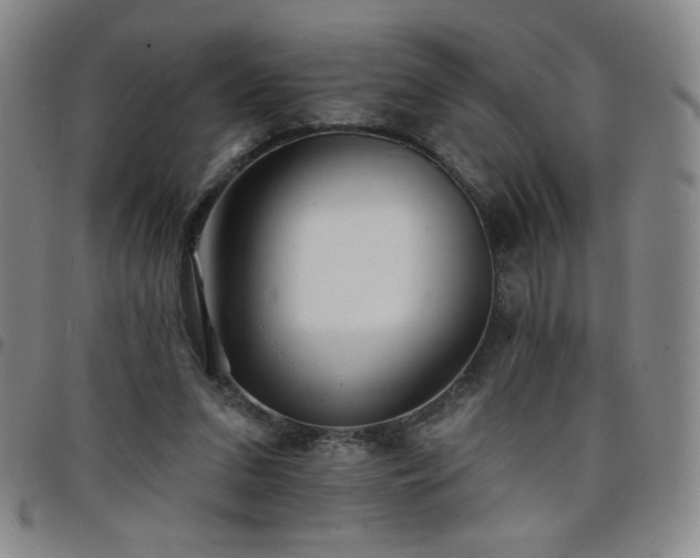 X0000098130207200804241658