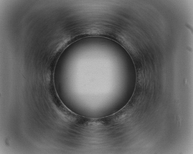 X0000098130208200804241658