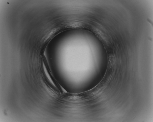X0000098130212200804241658
