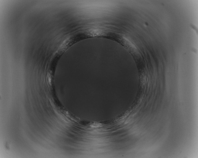 X0000098130214200804241658