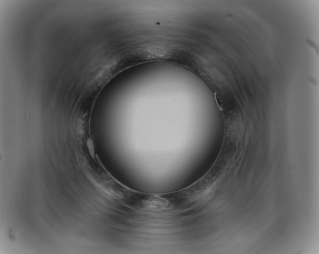 X0000098130215200804241658