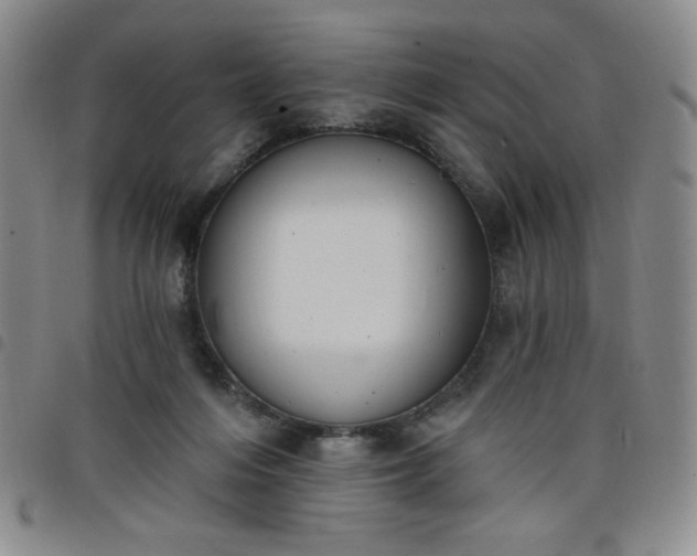 X0000098130216200804241658