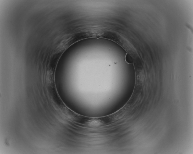 X0000098130218200804241657
