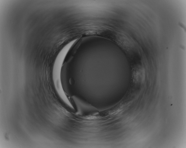 X0000098130219200804241657