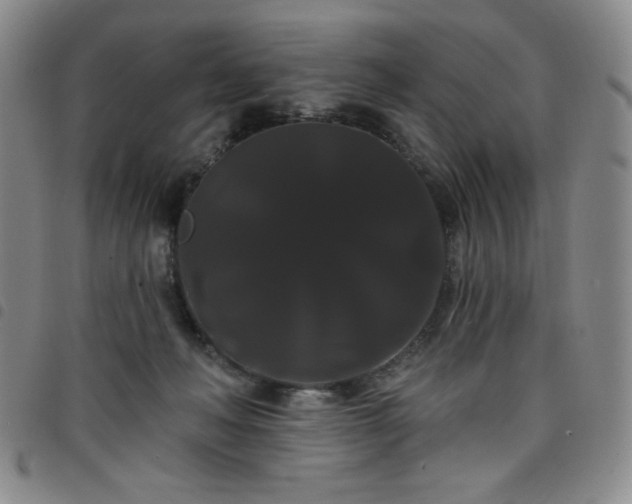 X0000098130222200804241657